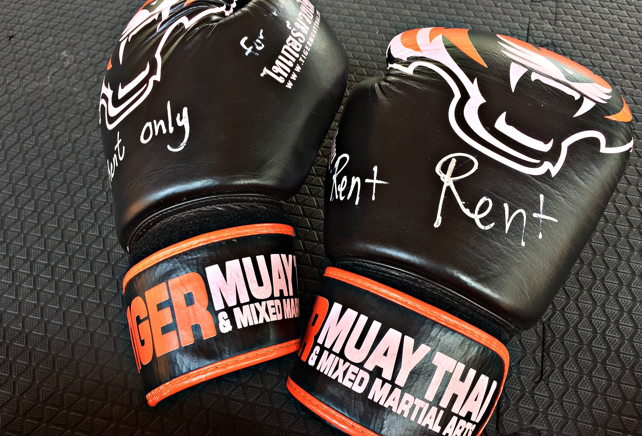 Thai boxing gloves